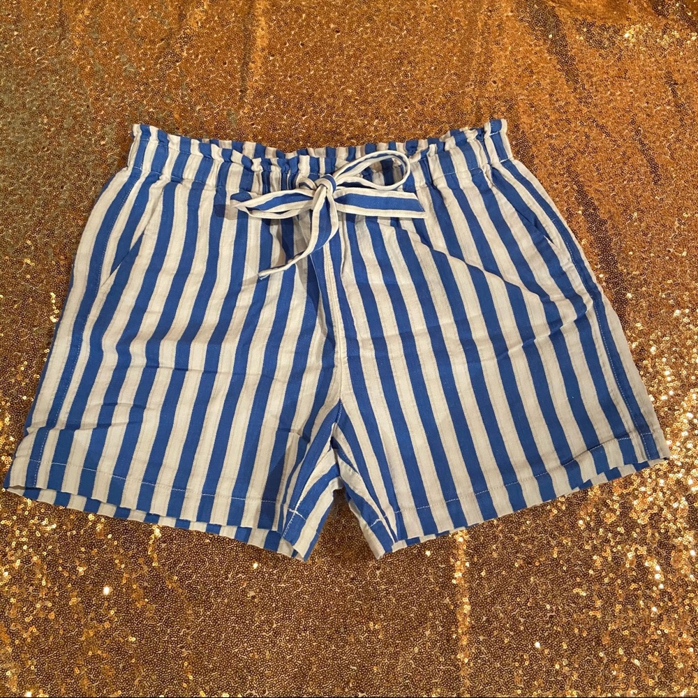 J. Crew Blue and White Striped Linen Shorts Medium